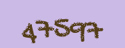 Security check